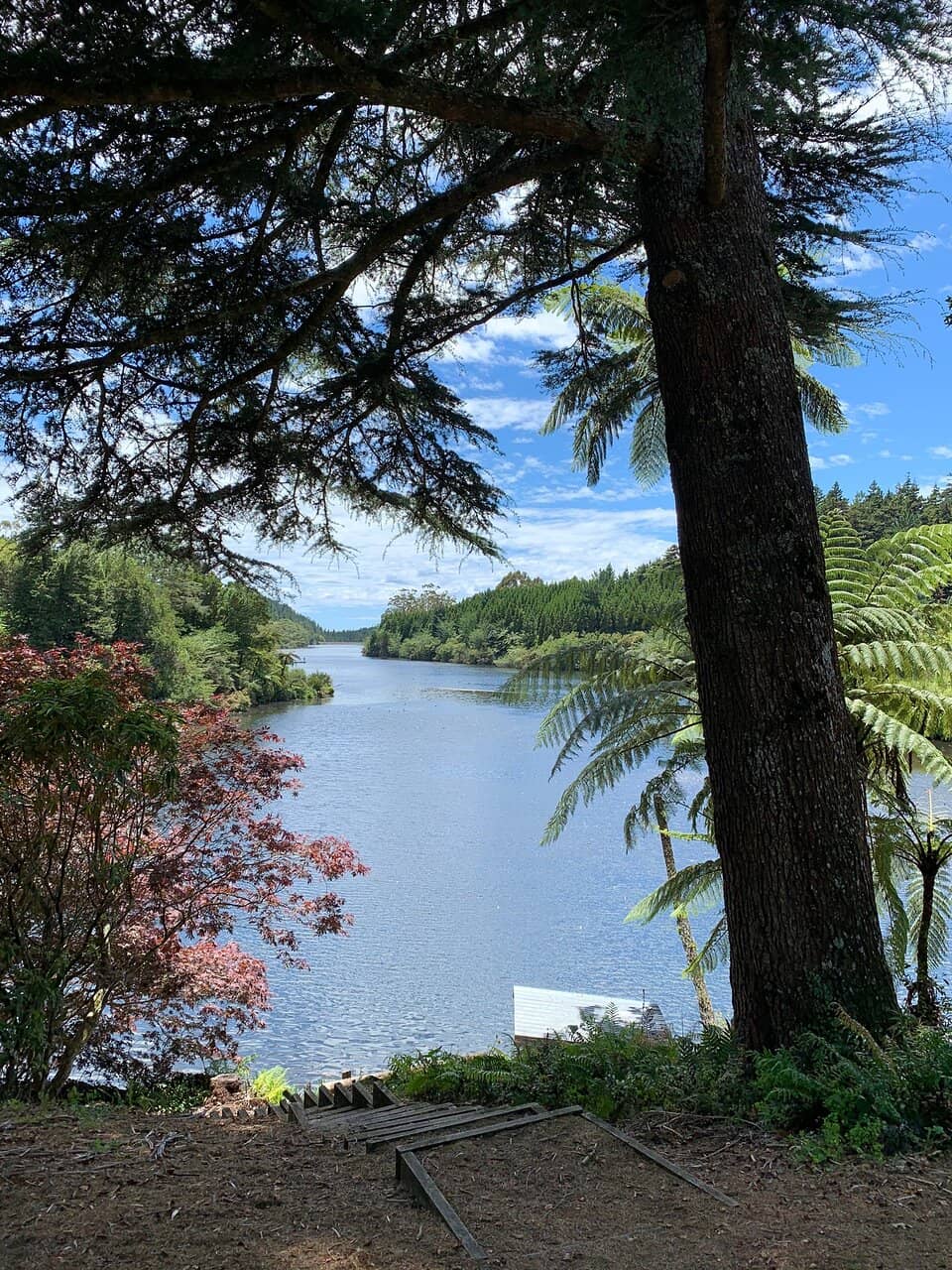 Mount Taranaki Lookout