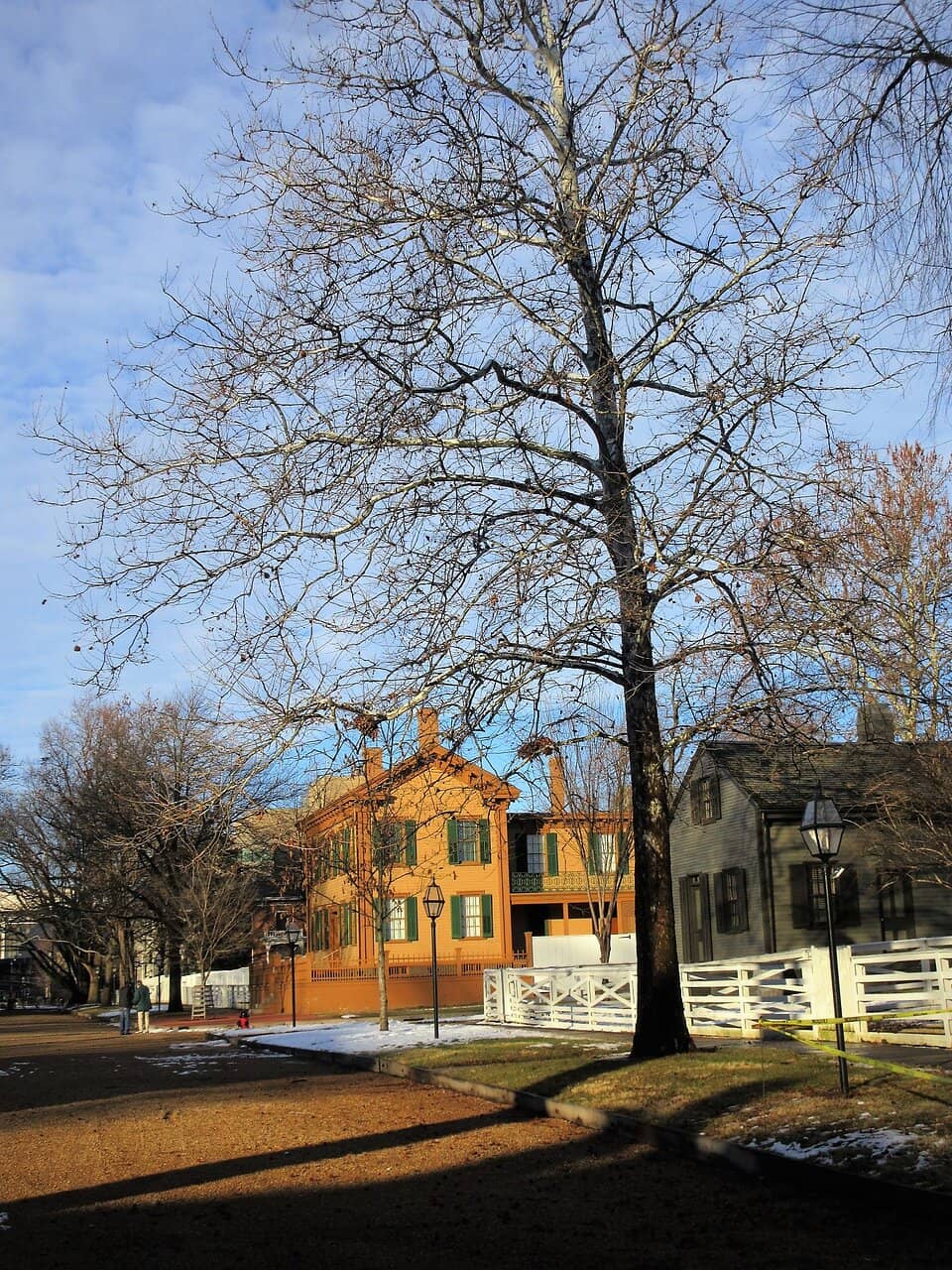 Vertical photo