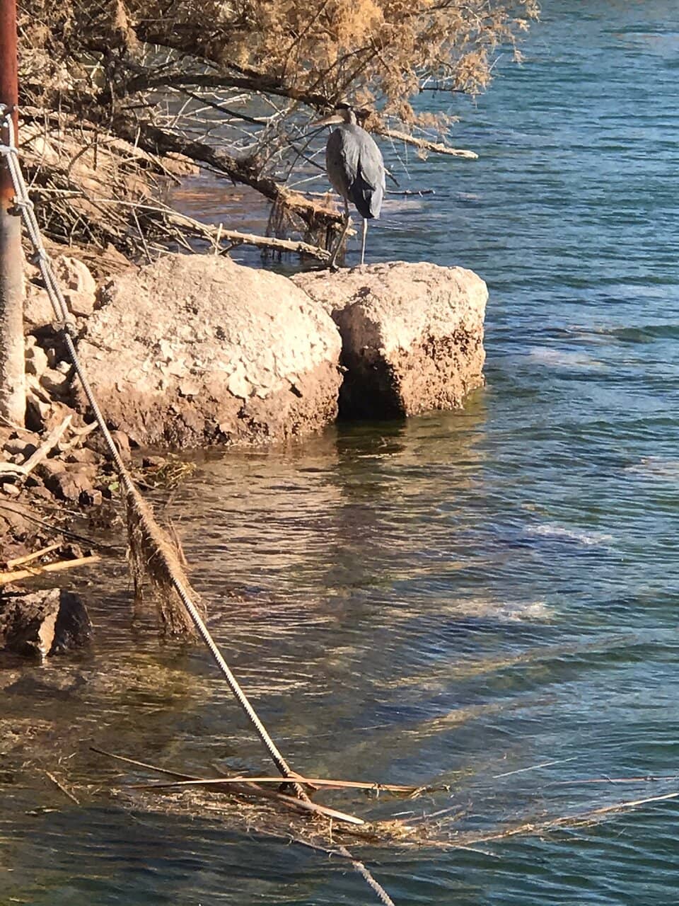 Peninsula Trail Extension