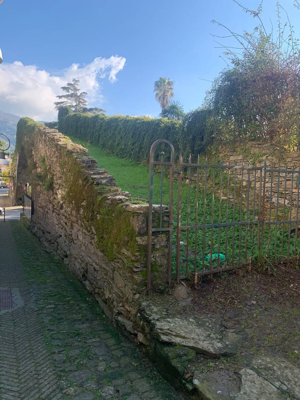 Vertical photo