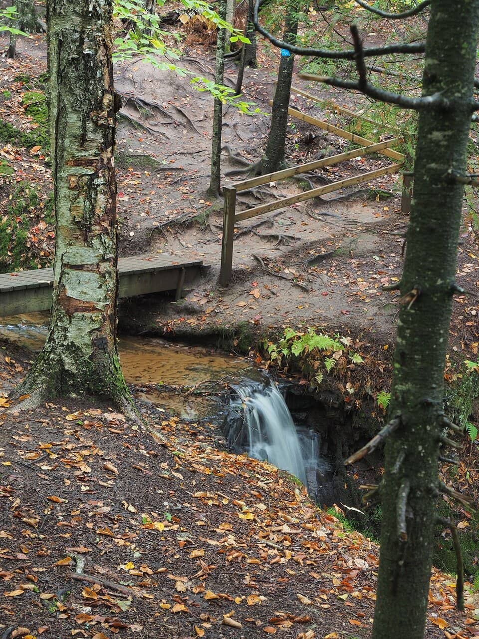 Scenic Gorge Hike