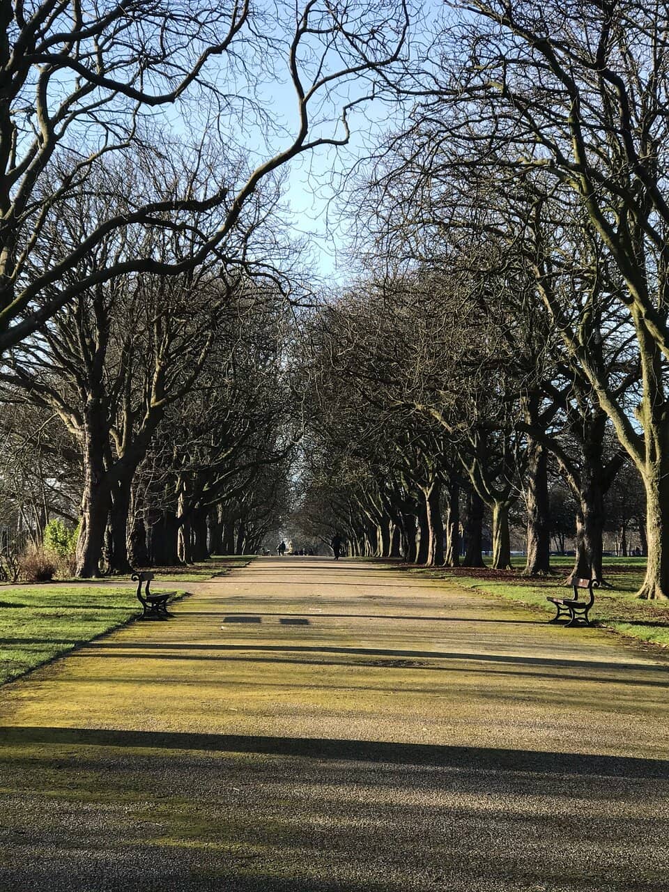 The Bandstand
