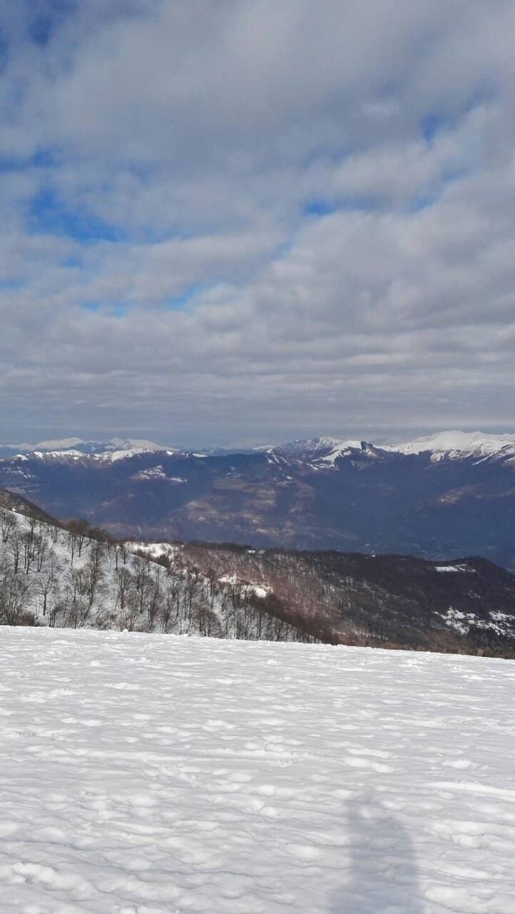 Autumn Foliage Trails