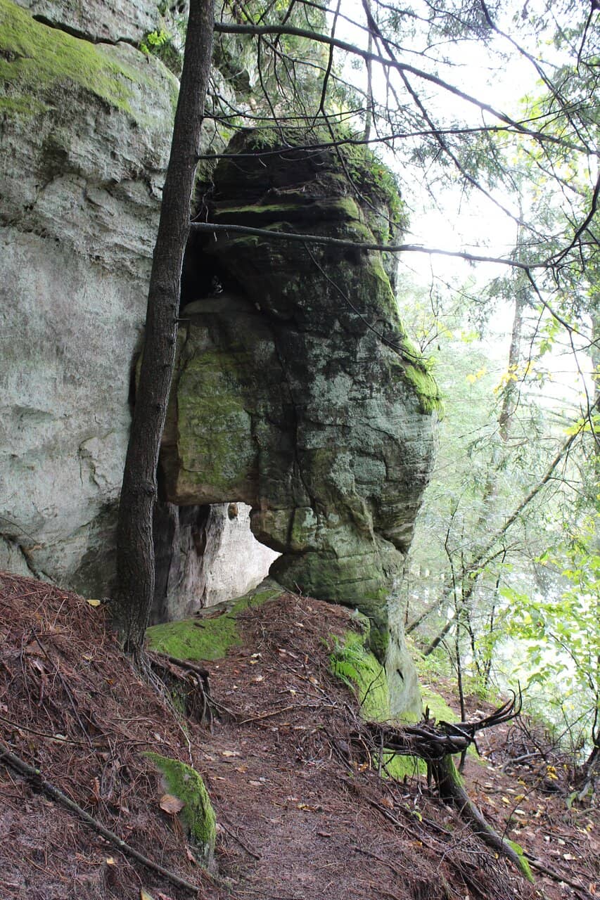 Vertical photo