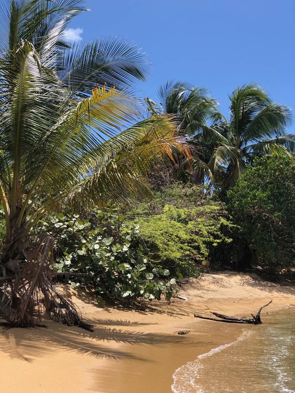 Sandy Beach Bliss
