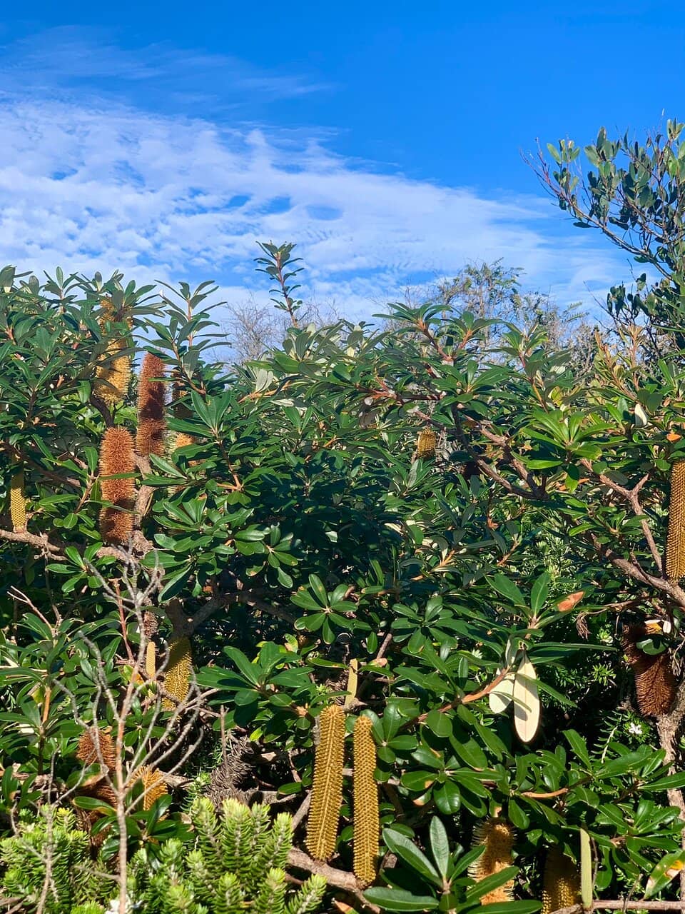 Spectacular Coastal Trail