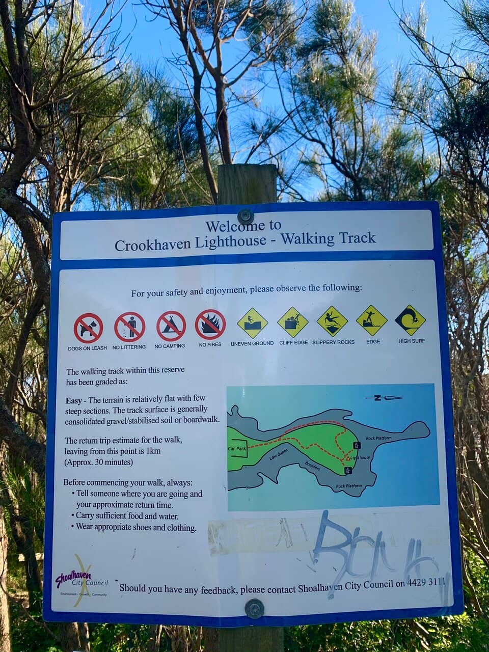 Whale Watching (Seasonal)