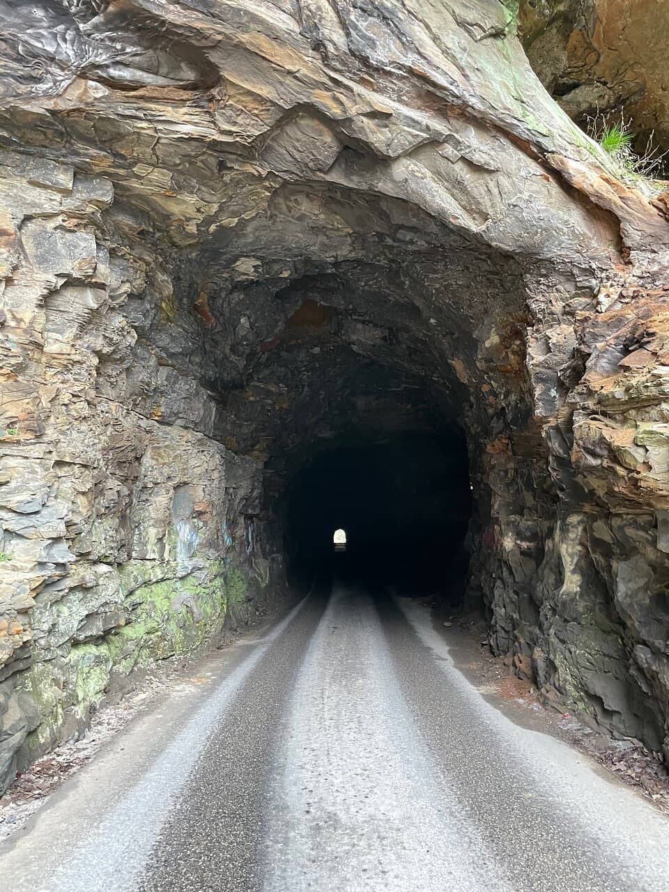 Vertical photo