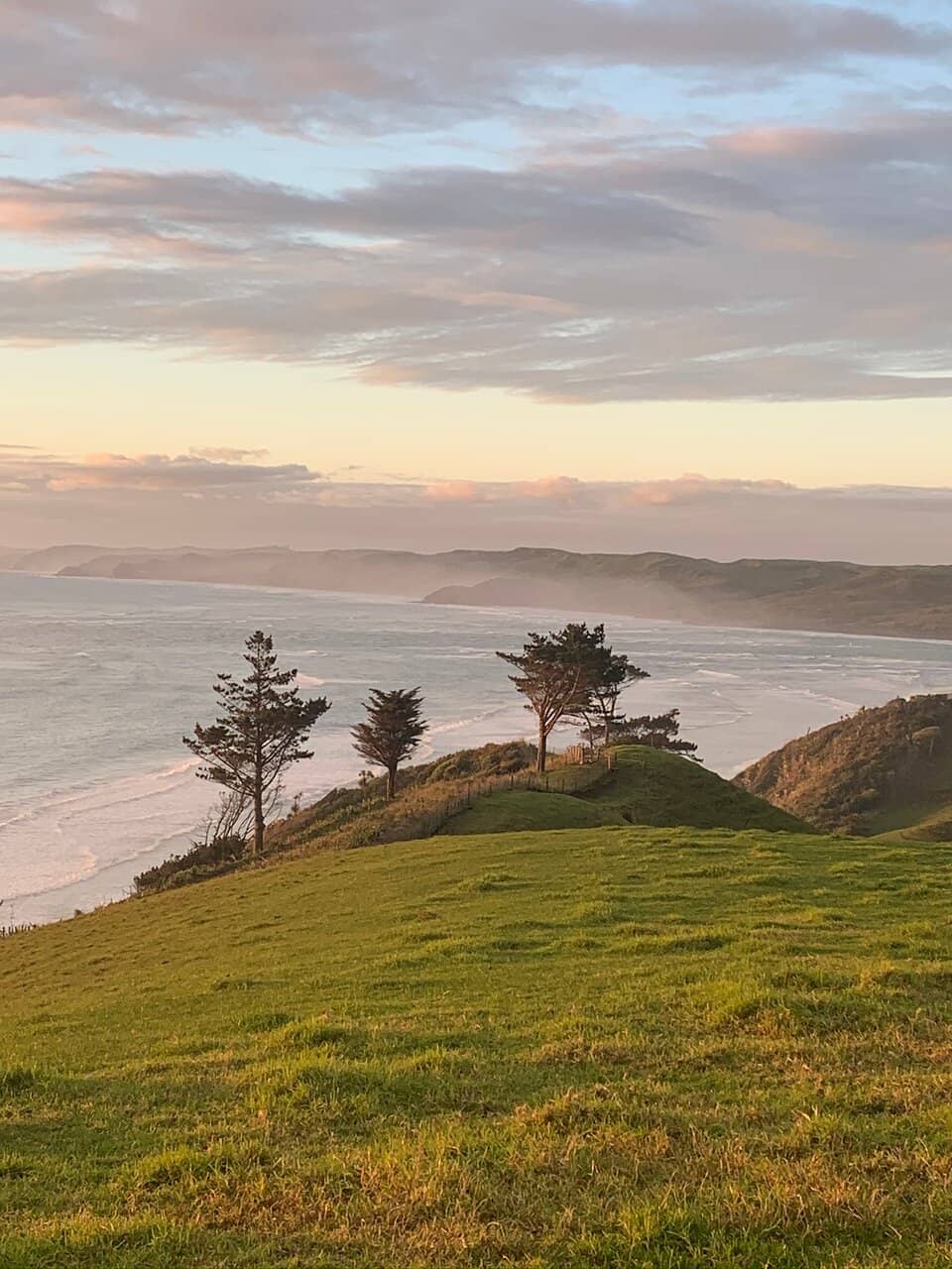 World-Class Surf Breaks