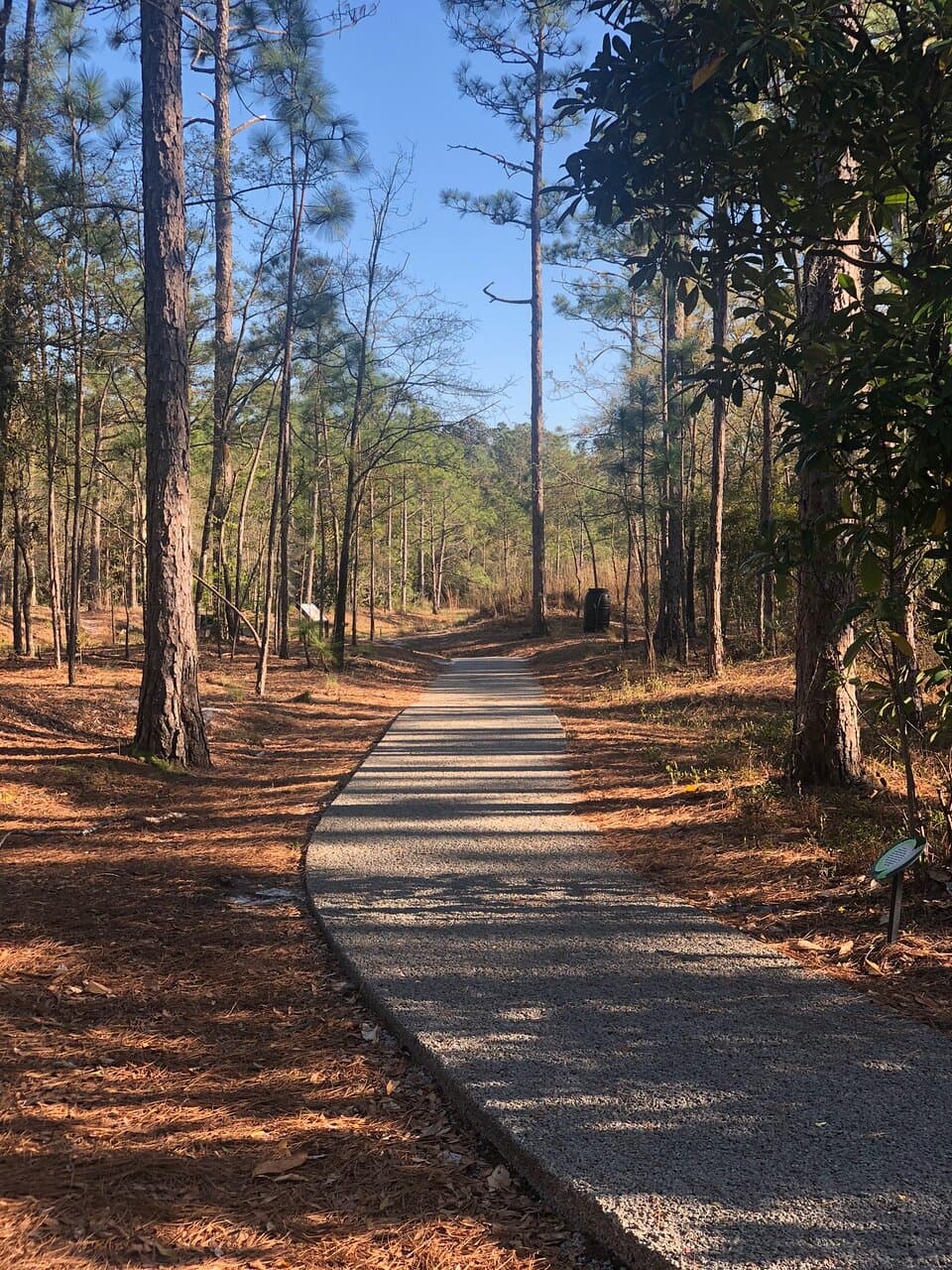 Stanley Rehder Carnivorous Plant Garden