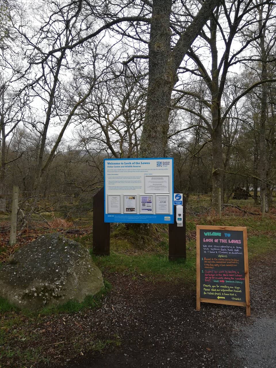 Red Squirrel Feeders