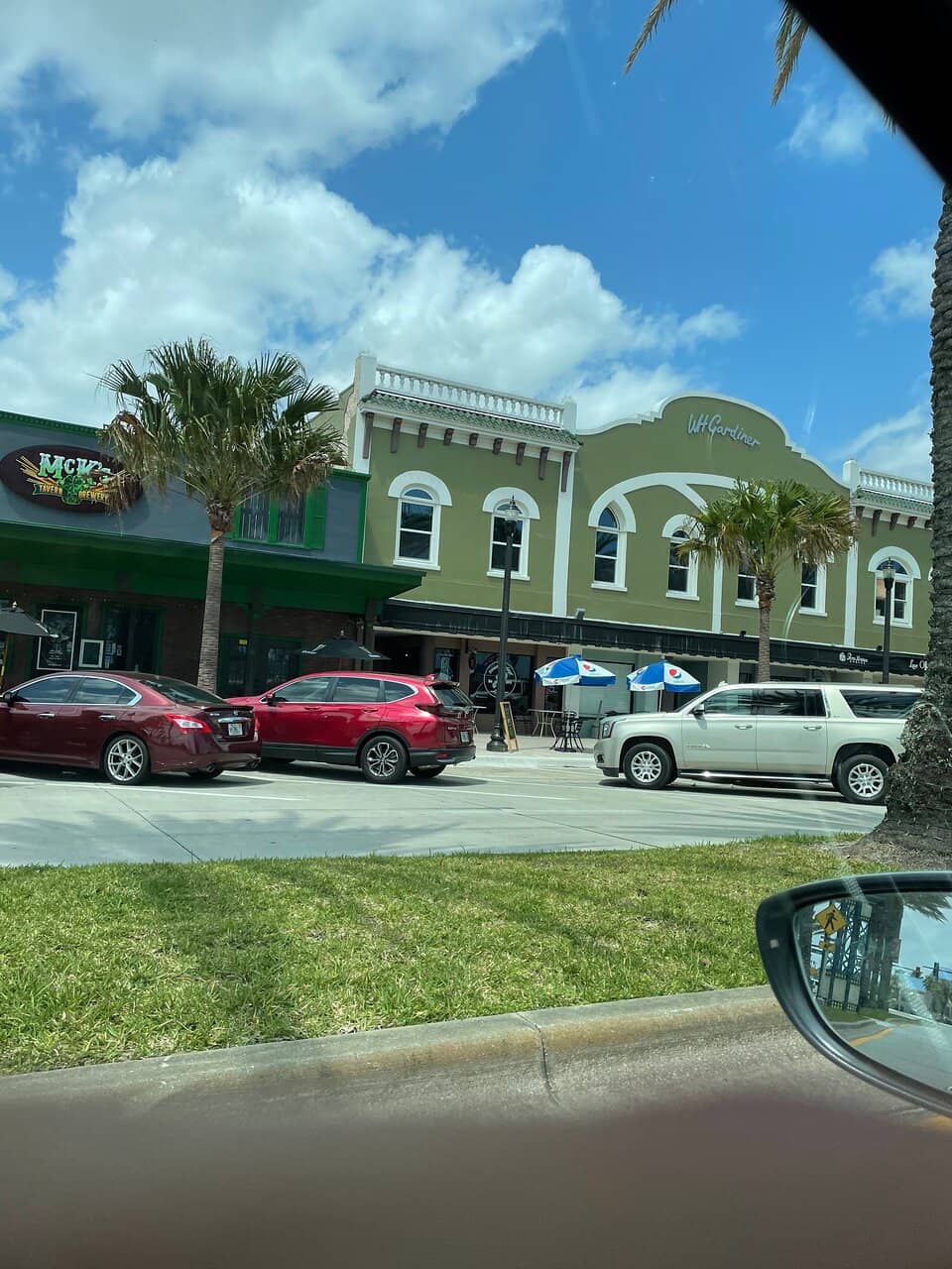 Iconic Avenue & City Pulse (New Orleans)