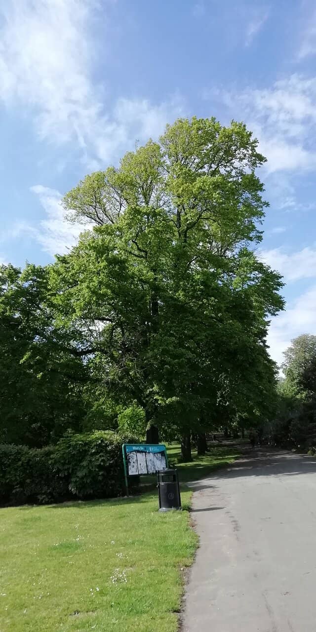 Expansive Green Spaces