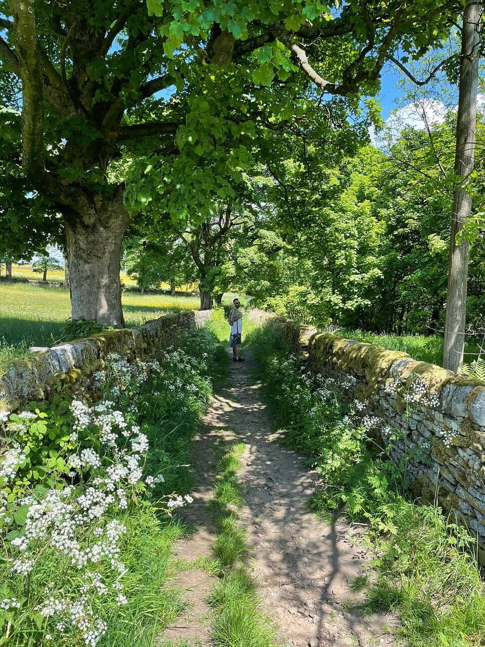 Steam Train Experience