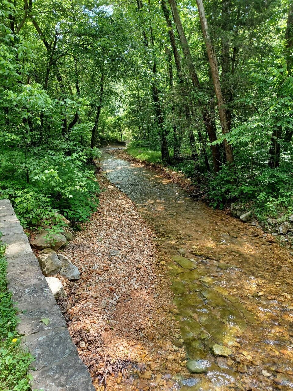 Full Moon Kayak Tour