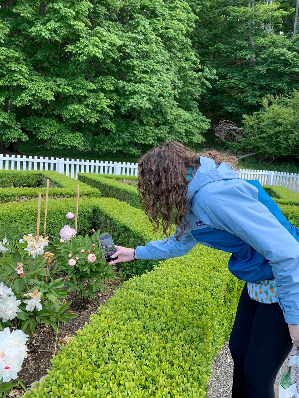 English Garden