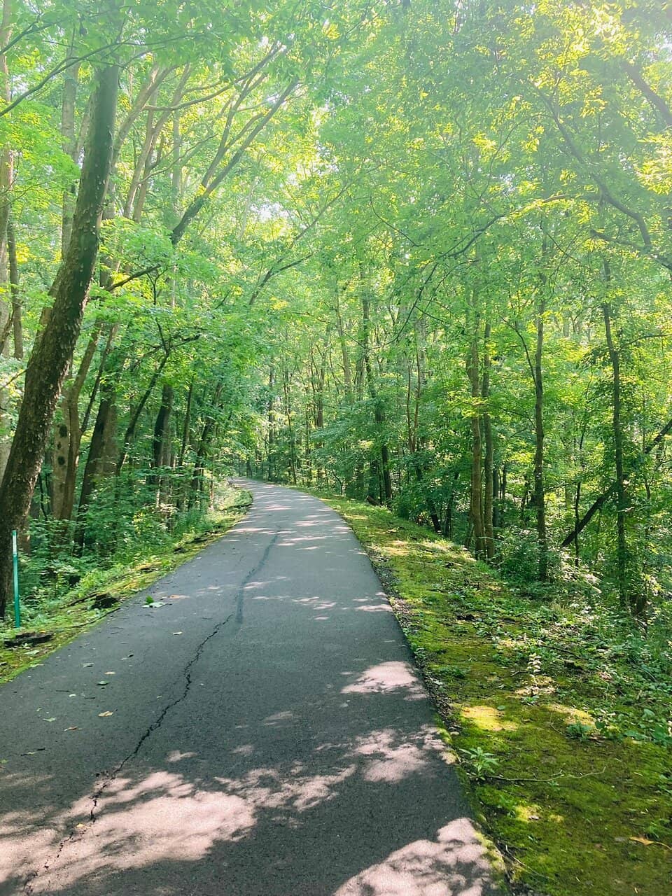 Family-Friendly Cycling