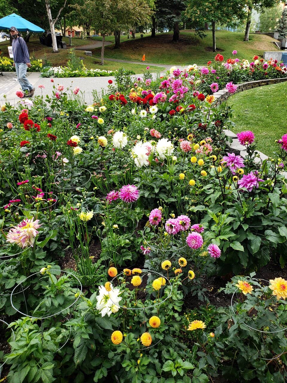 Vibrant Flower Displays