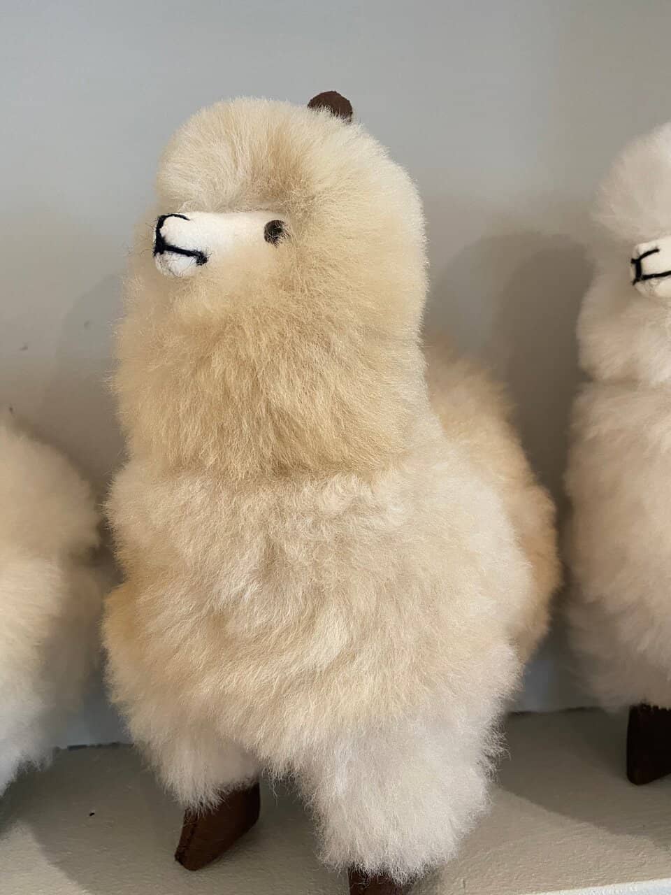Shop for Alpaca Goods