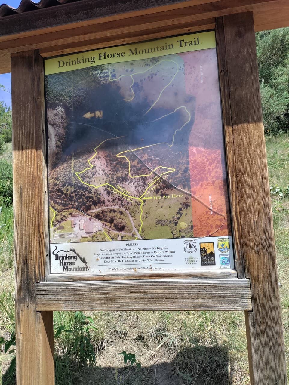 The 'Drinking Horse' Loop