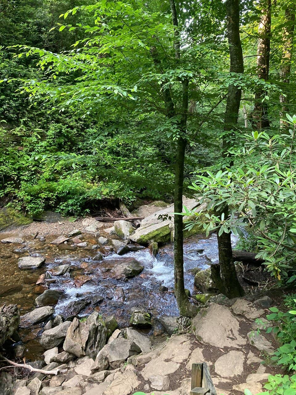 Cody Falls