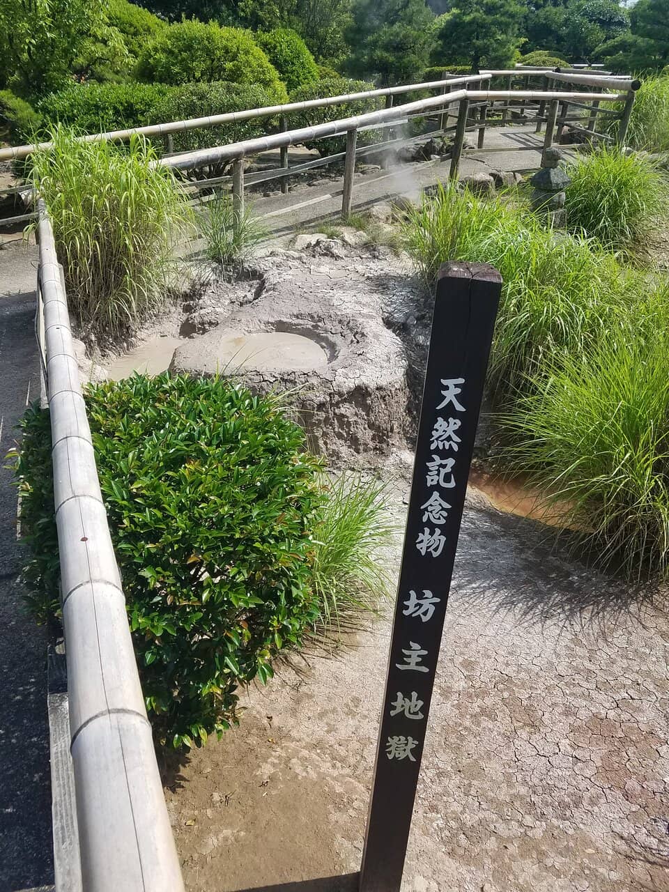 Bubbling Mud Pots