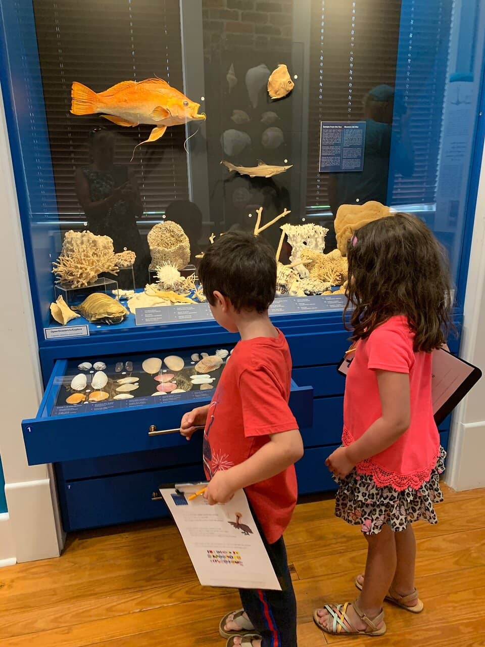 Hurricane Impact Exhibits