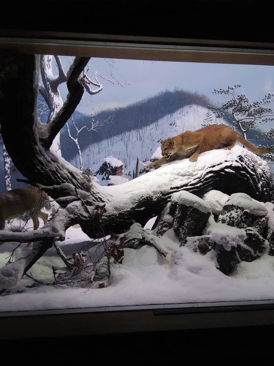 Interstate History Exhibit