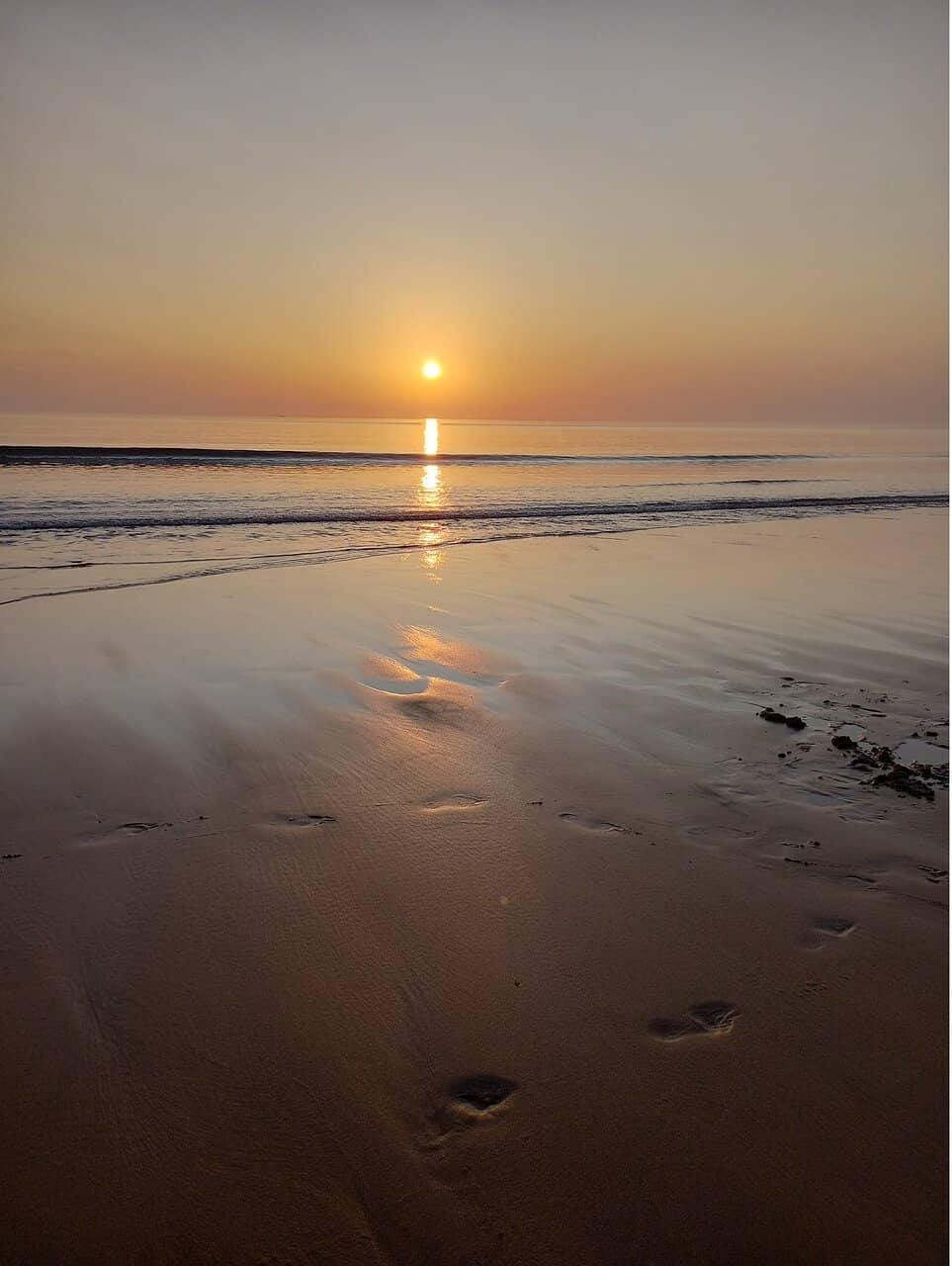 Sip & Sea Horsebox Cafe