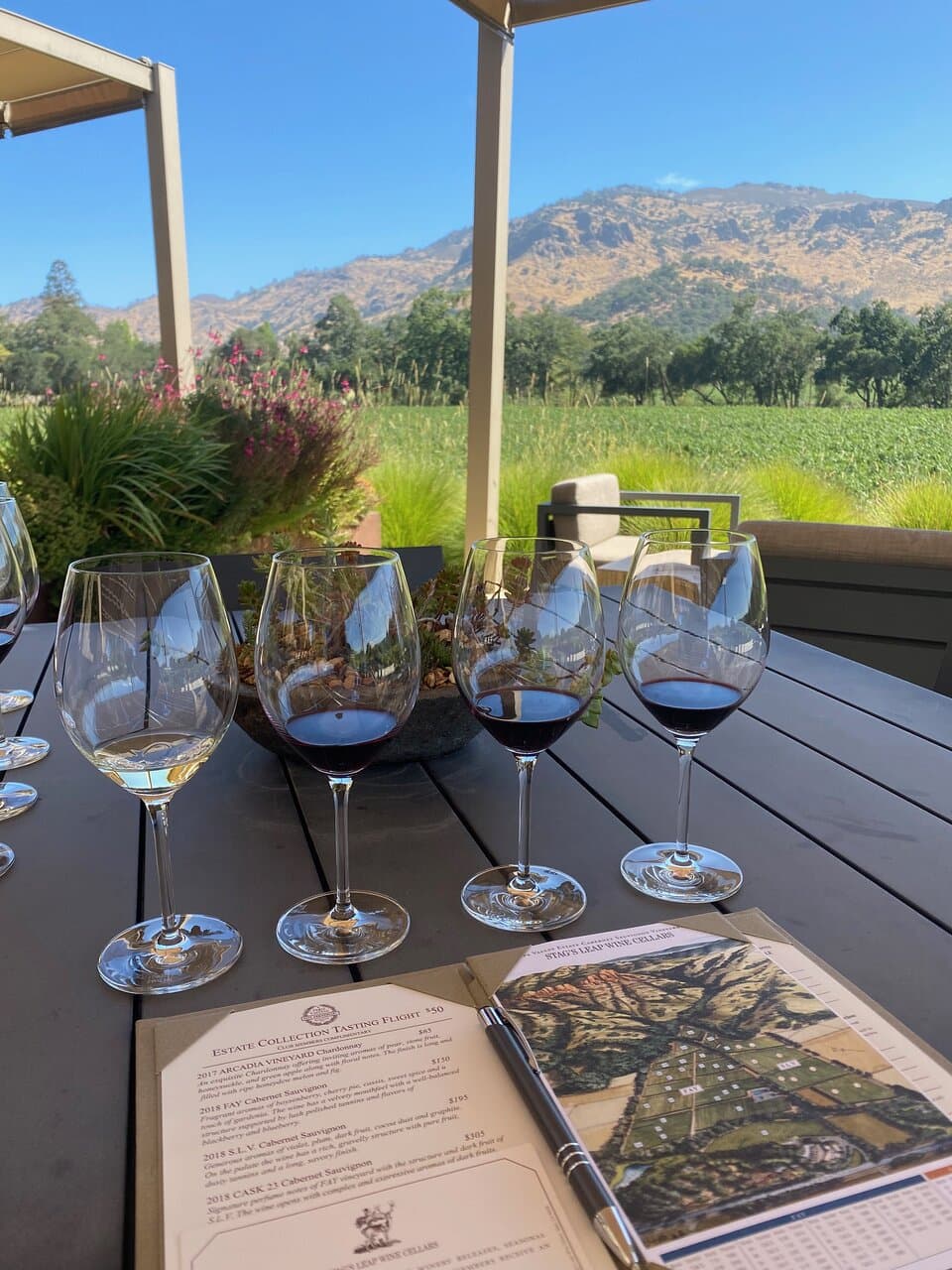 Our tasting flight and amazing views