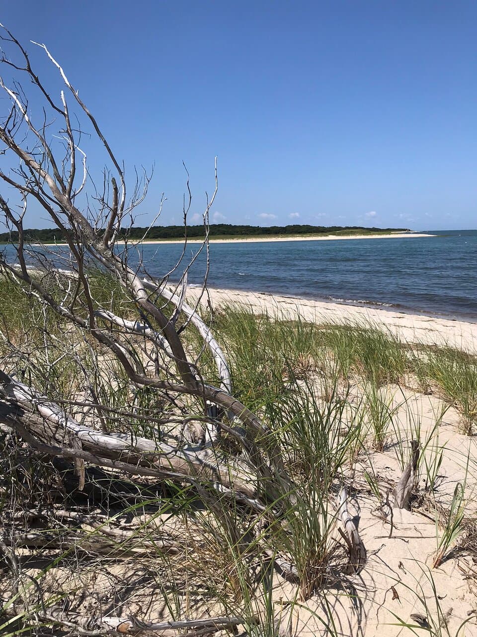 Easy trail out to Bay views