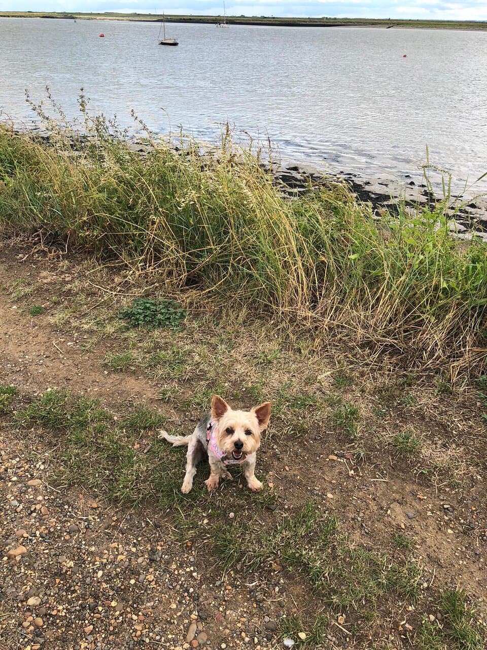 Burnham-on-Sea and District Museum