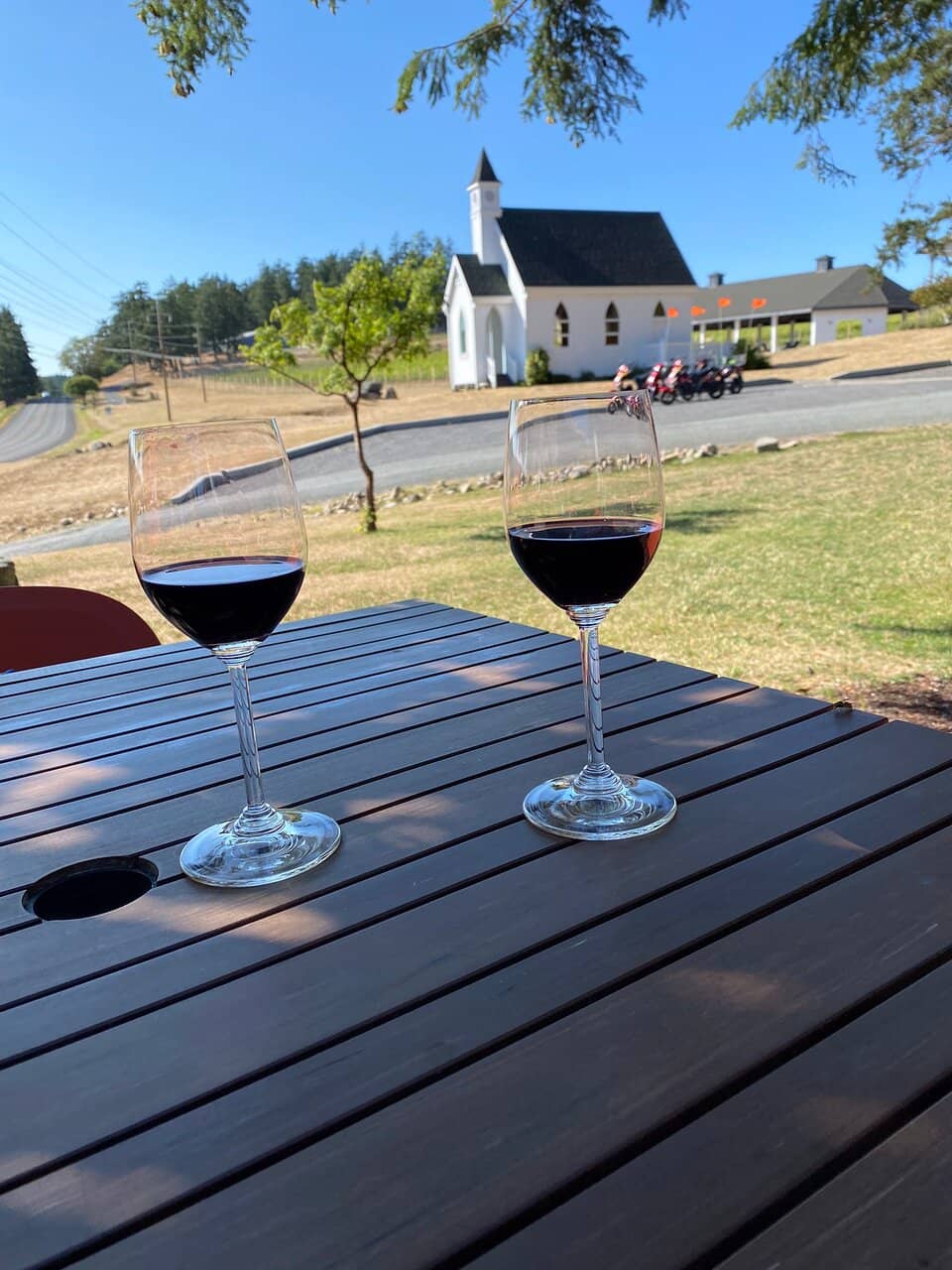 Scenic Vineyard Views