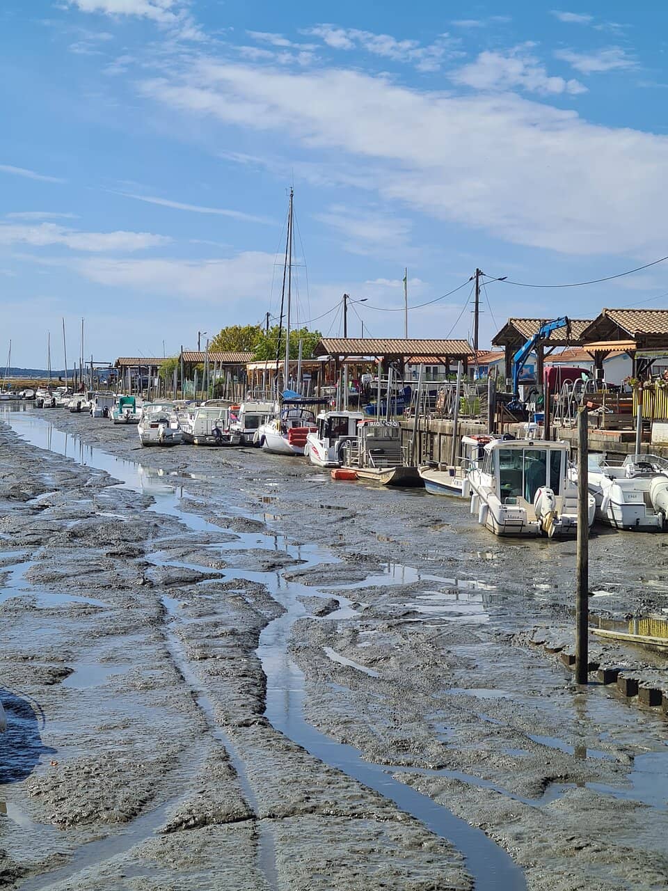 Oyster Tasting Cabanes