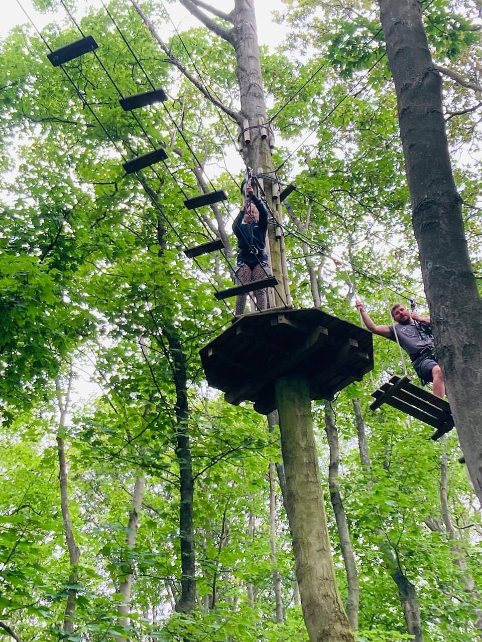 Treetop Adventure