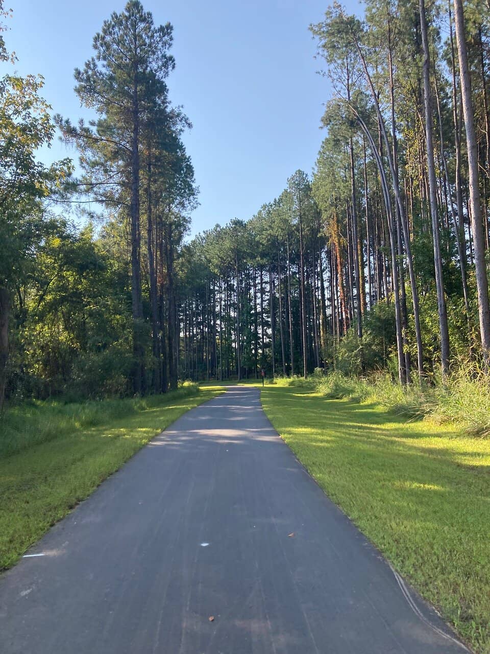 Connections to Neighborhoods