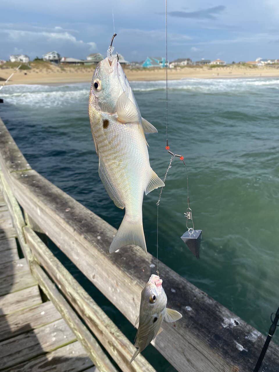 Fish Heads Bar & Grill