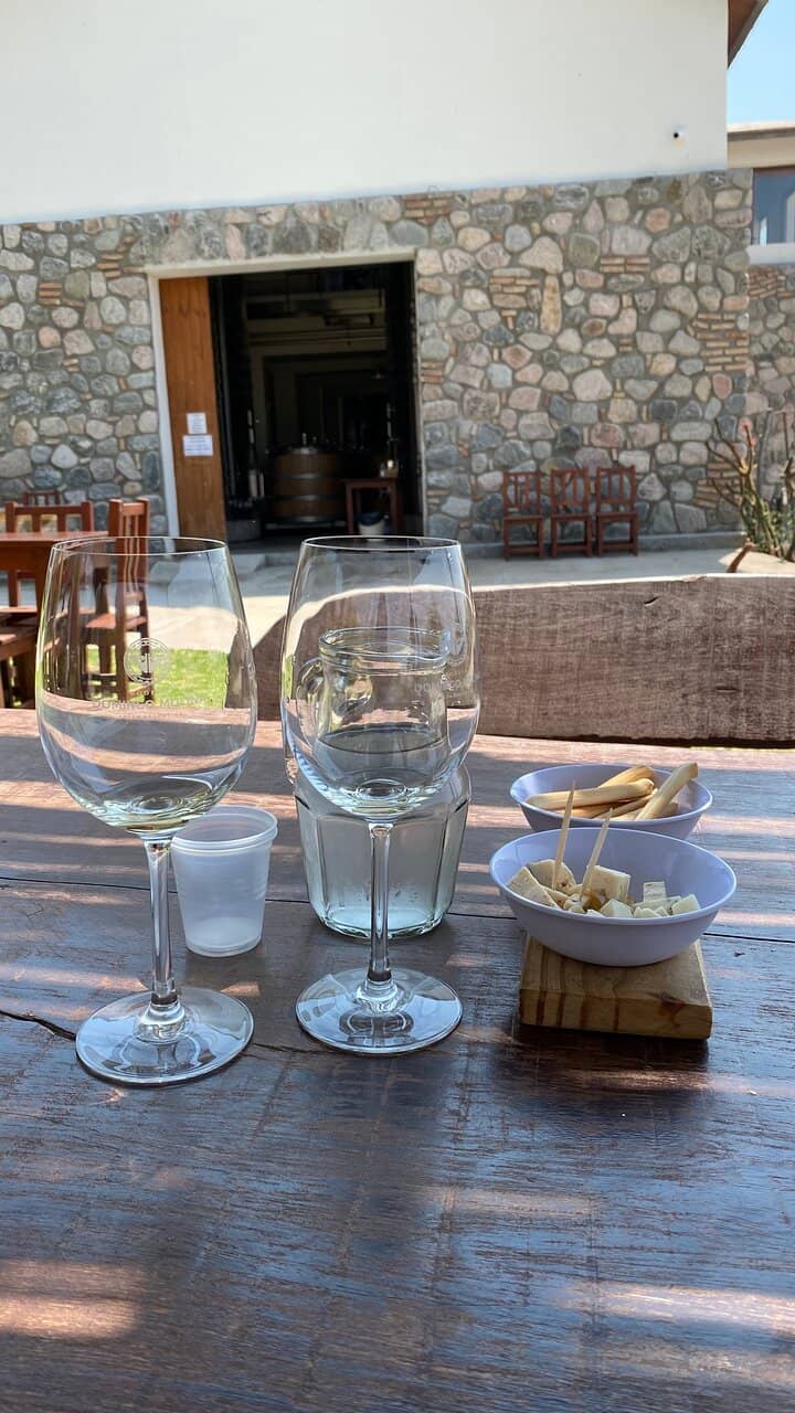 Wine Tasting Experience