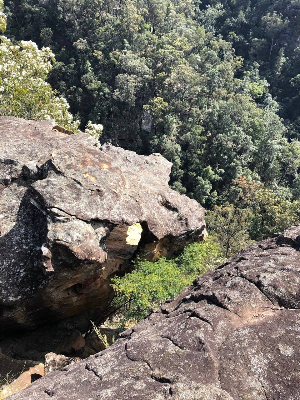 Uktena Trail Climb