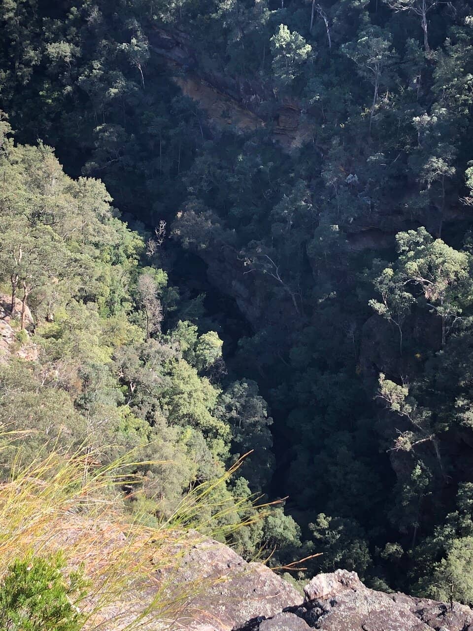 Vertical photo