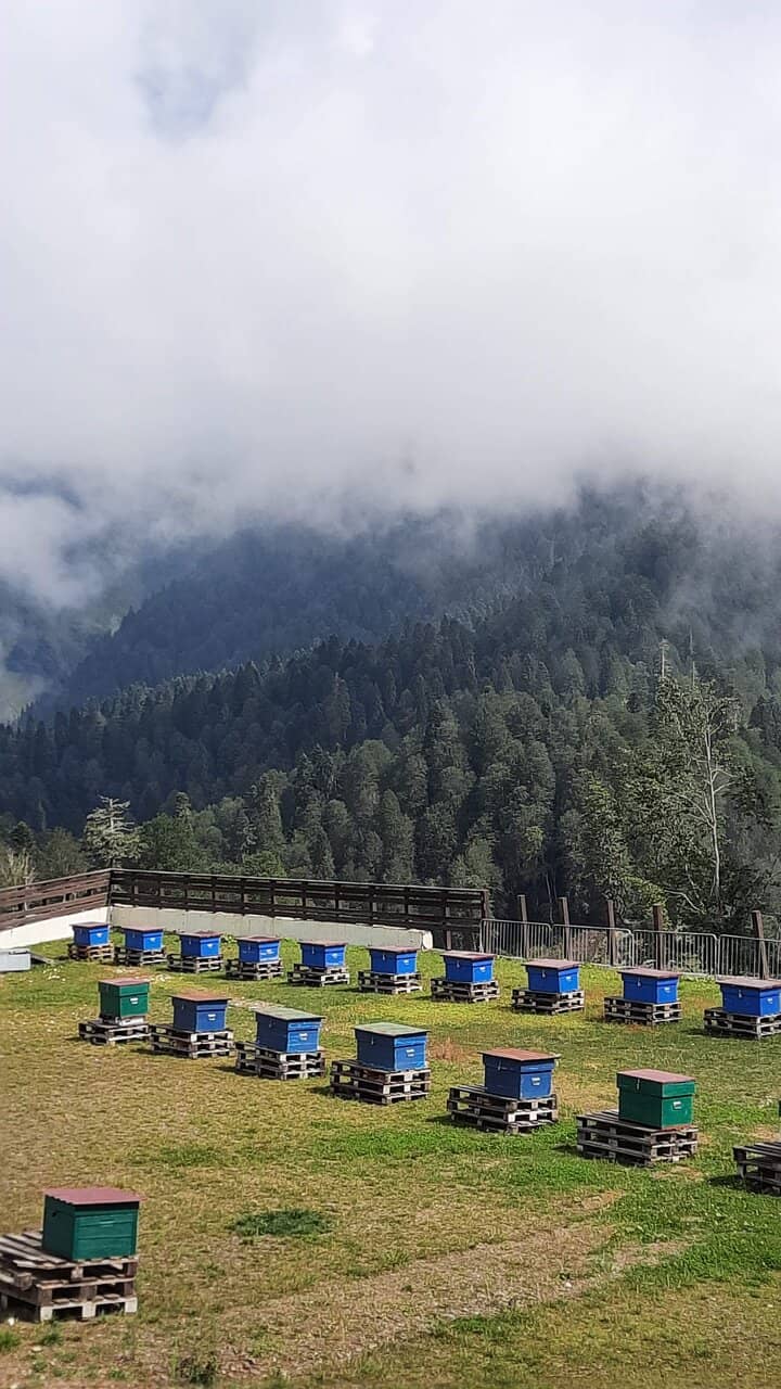 Biathlon Training Grounds