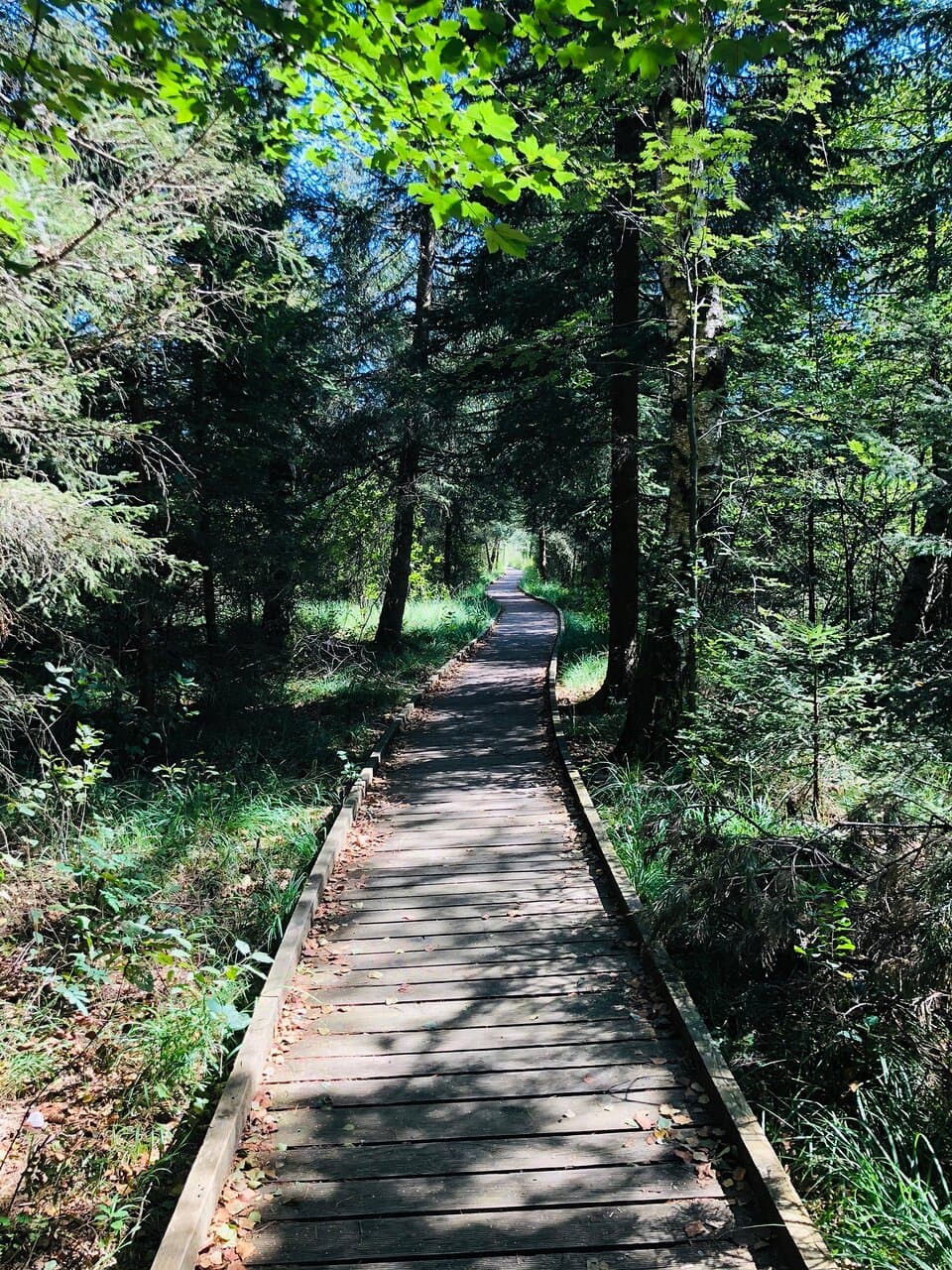 Ibmer Moor Nature Reserve