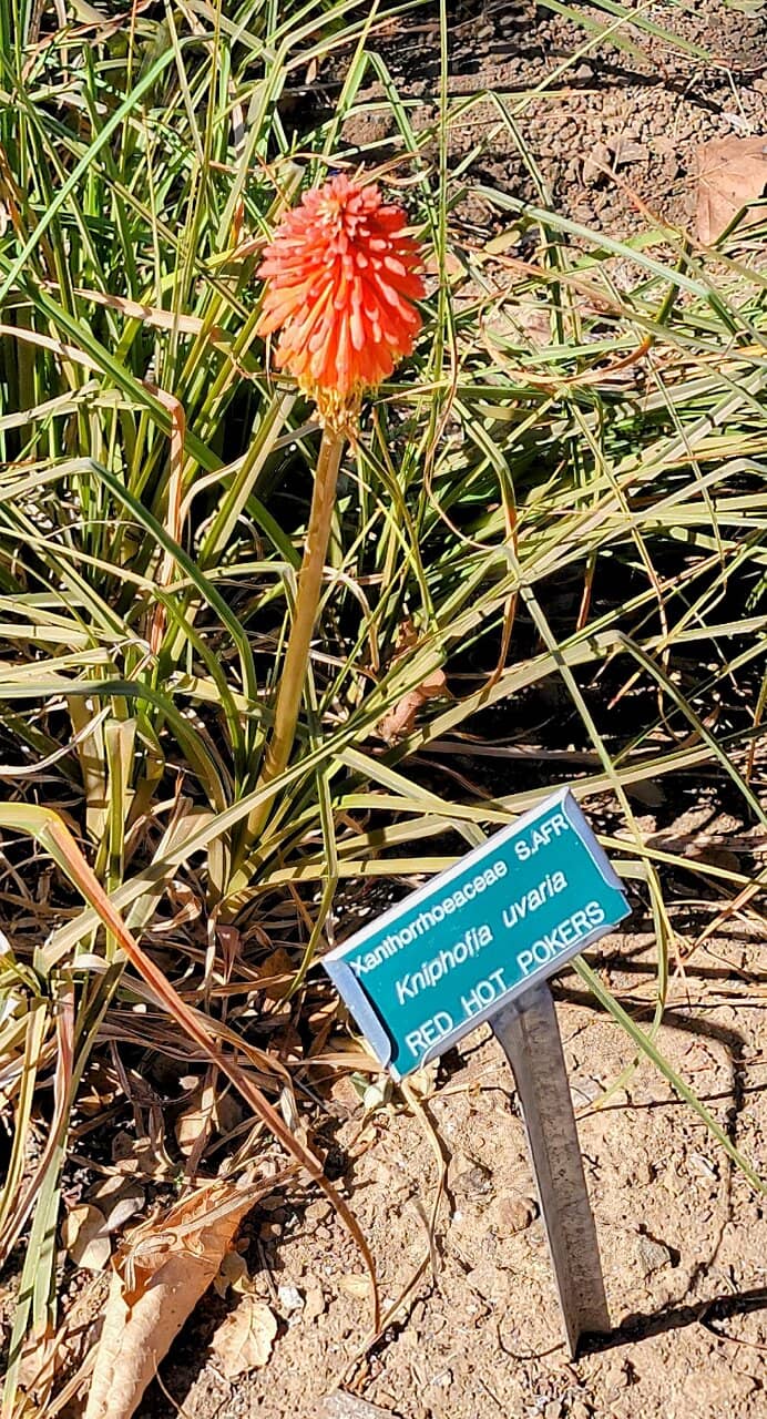 Children's Garden
