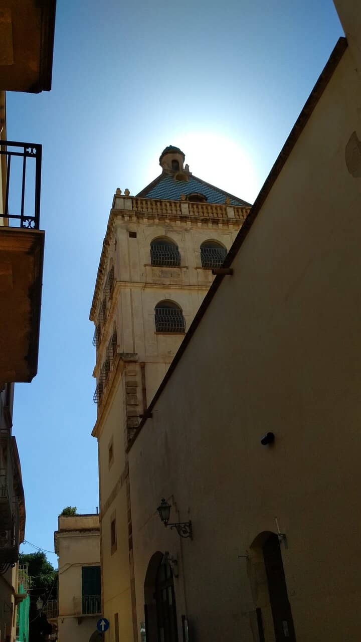 Suggestive Cuspidate Tower