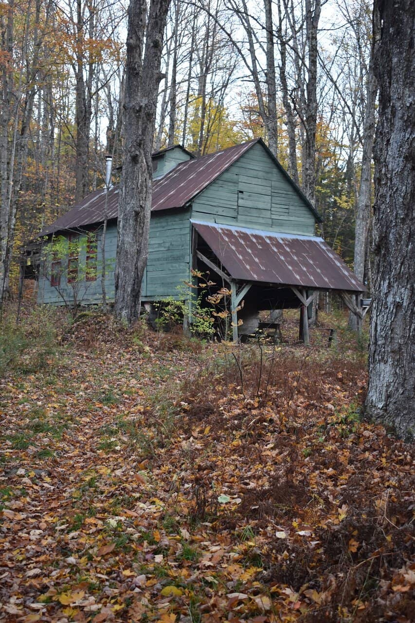 Sugar Shack Sights