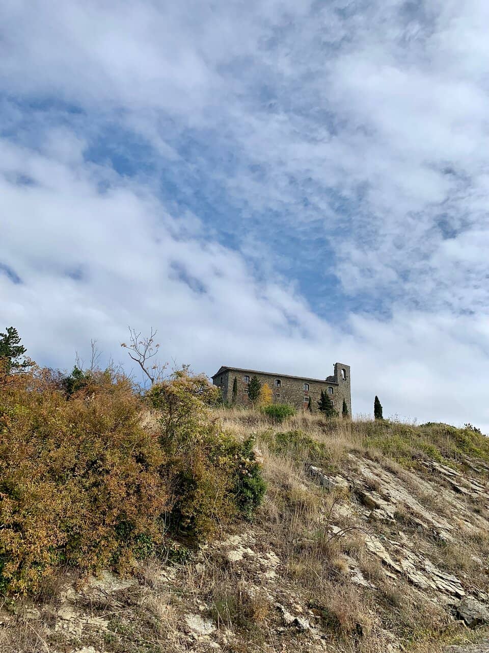 Vertical photo