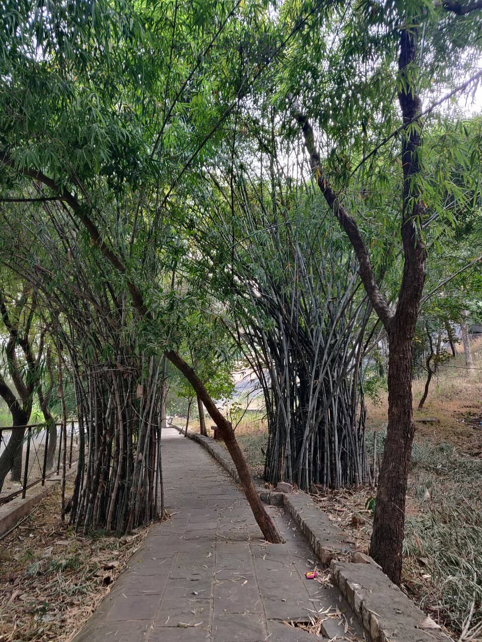 Panoramic Hilltop Views