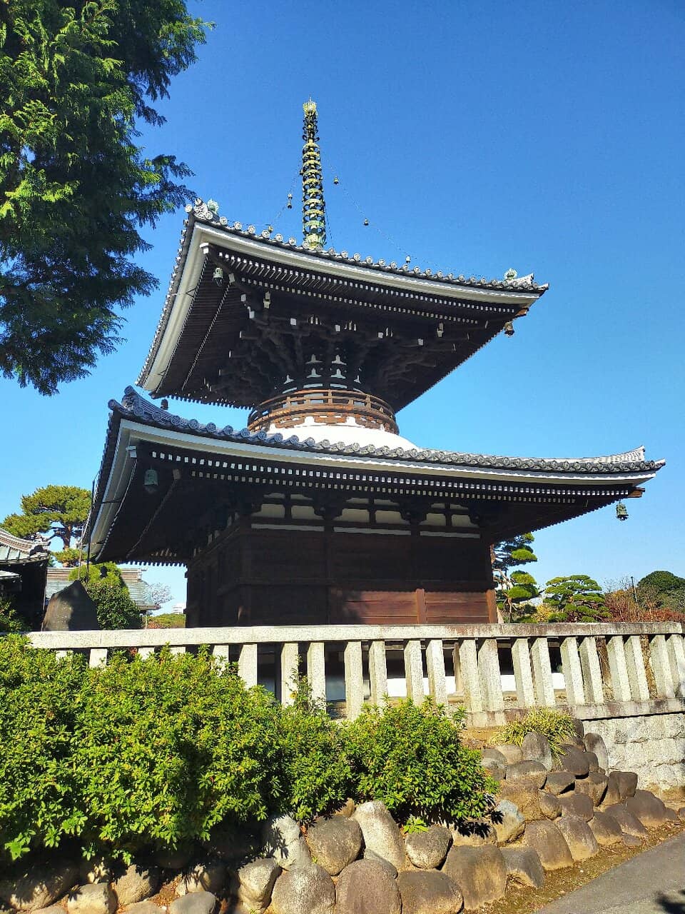 Vertical photo