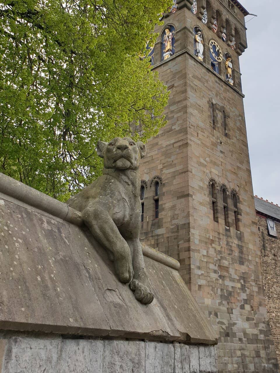 Vertical photo