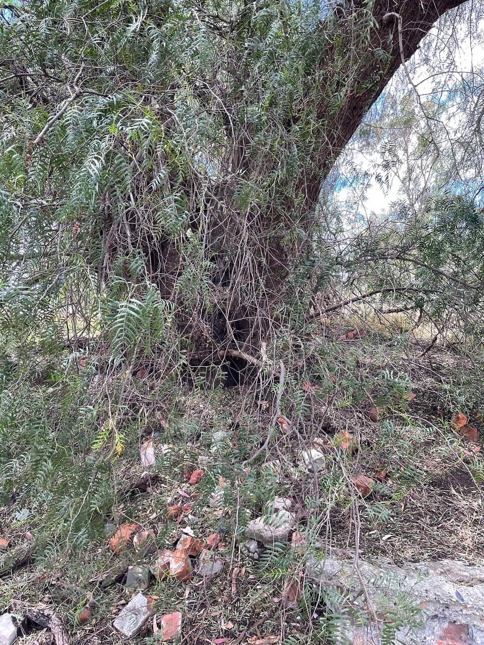 Mining Ruins and Relics